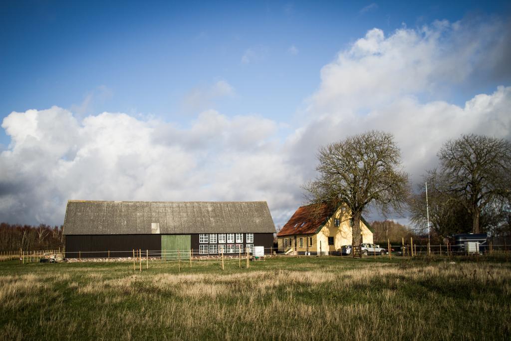 Froeken Hjorts Bed And Breakfast Höganäs エクステリア 写真